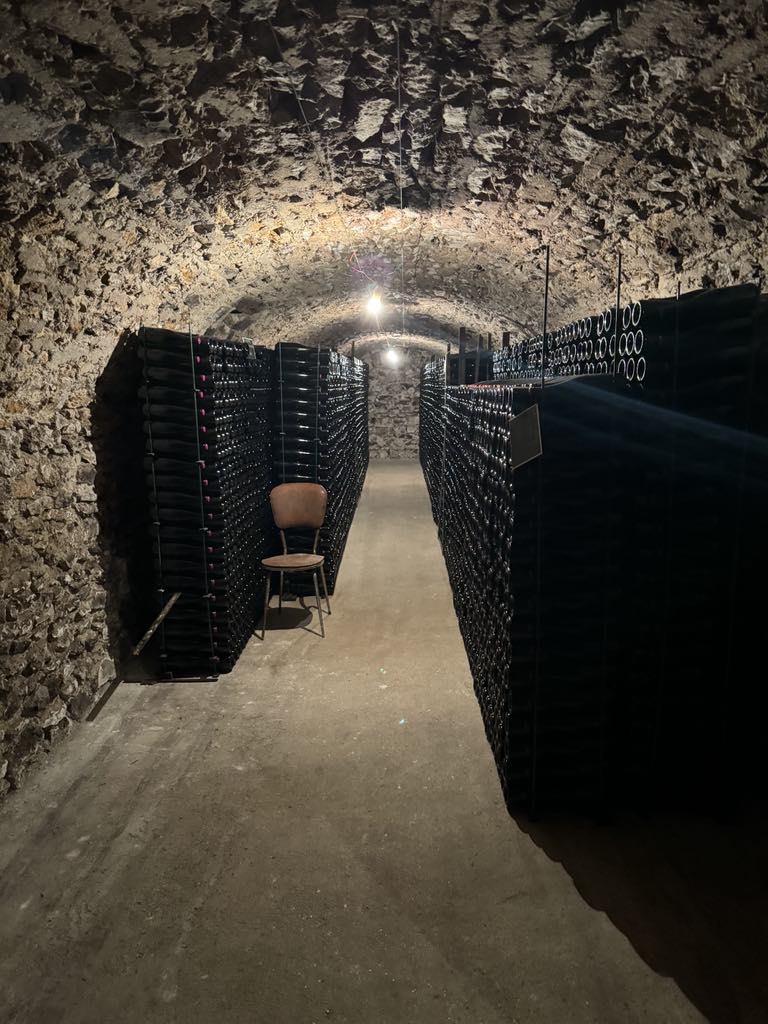 Champagne cave in avize. The best chardonnay for amazing bdb champagnes. Gerard Dubois champagne