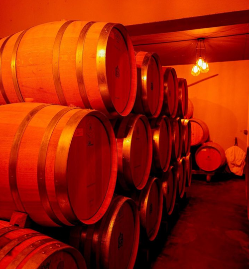 A. Bergère Blanc champagne production