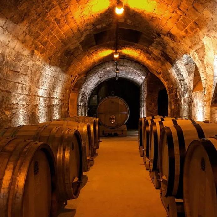 Lassalle cellar