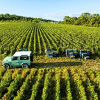 Lassalle vineyards