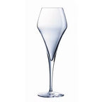 Tulip Champagne Glass