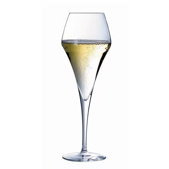 Tulip Champagne Glass